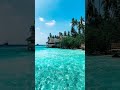 Weekly prediction Pieces♏ cancer♋ scorpio♏#shortvideos #timelessreading #tamil