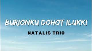 Natalis Trio - Burionku Dohot Ilukki (Lirik Lagu)