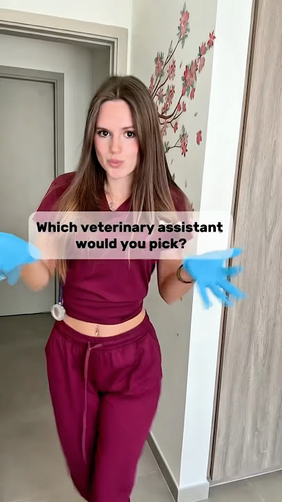 Which veterinary assistant would you pick? #short #vet