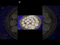 reels