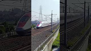 WHOOSH High-Speed Railway #train #railway #highspeedtrain #trending #viral #shorts #keretaapi #fyp