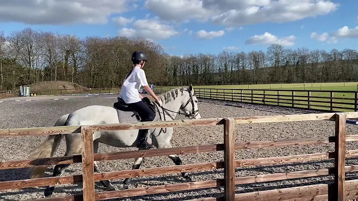 Iris Nicholson - Bunny Novice 28