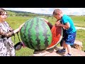 Кудыкина гора — семейный парк развлечений Липецкая область Сафари парк Источник Видео для детей