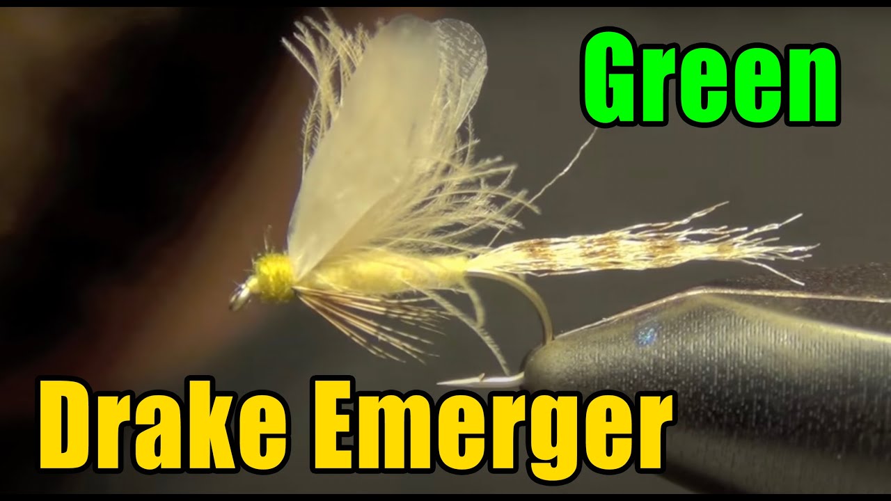 Green Drake Fly Pattern Magnificent Inspiration Ideas Green Drake Fly Pattern Magnificent Inspiration Ideas