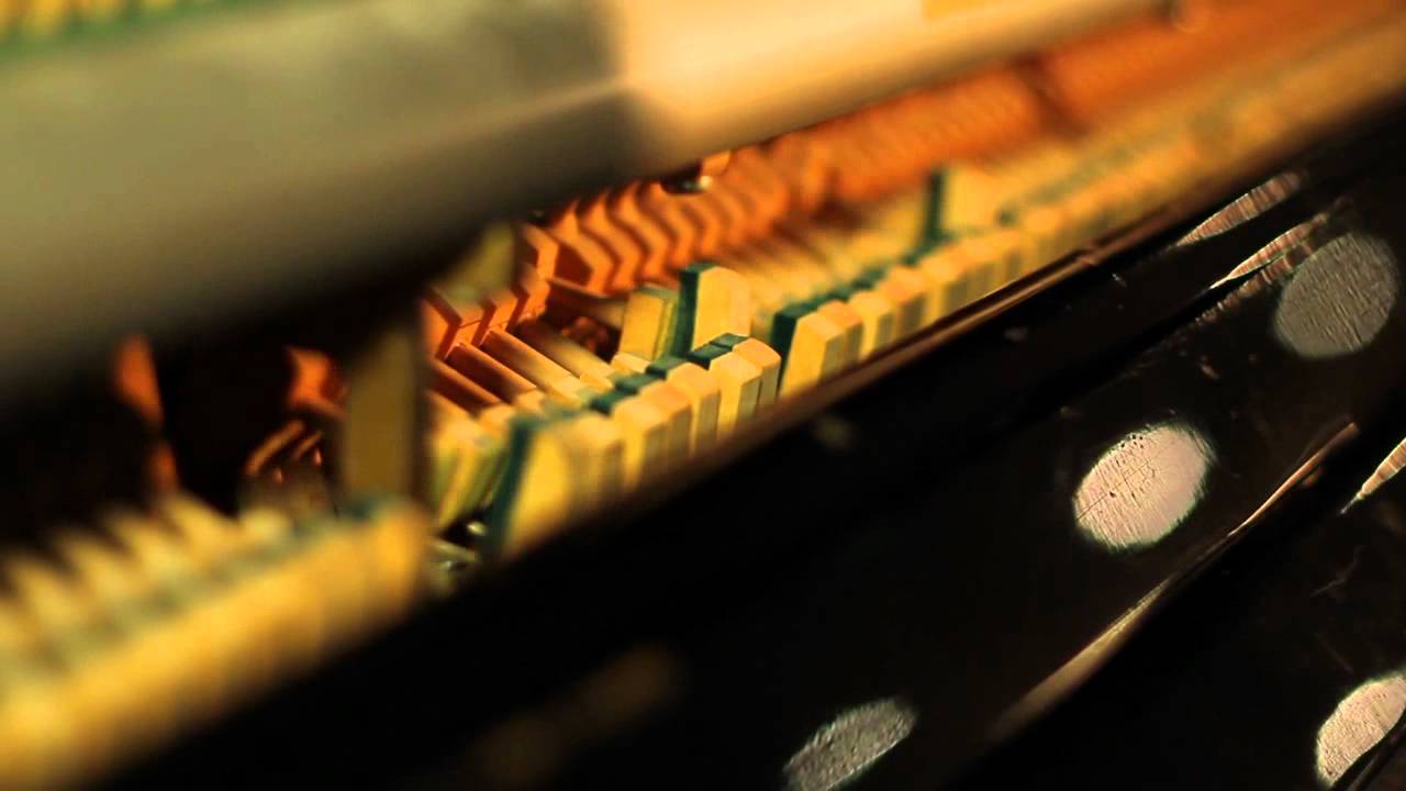 Gang Colours - Botley in Bloom