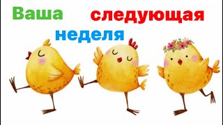 Ваша следующая неделя 29-6 мая.☀️💥🐣