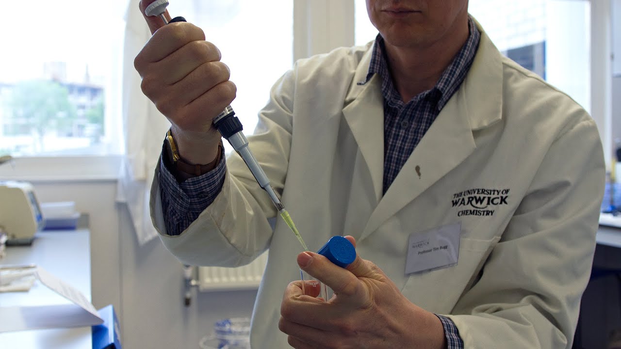 bioplastic research paper the future of bioplastics youtube bioplastic research paper the future of bioplastics youtube
