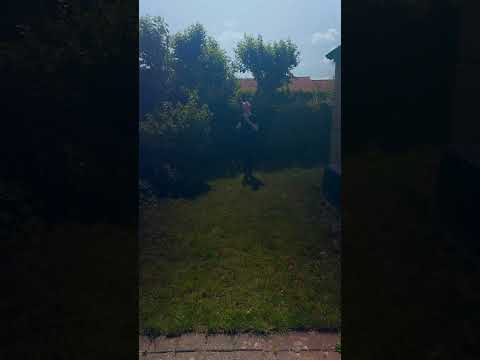 Sådan finder du grammatiske køn på en hæk på tysk   4K
