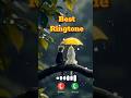 New call ringtone #trending #jdmusiclovers #viral #trendingvideo #ytshorts