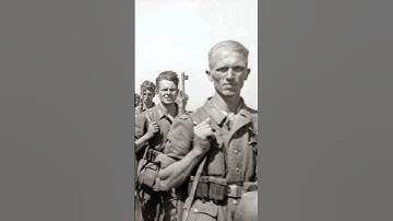 The Soviet Soldiers Who Fought for Hitler | #Shorts