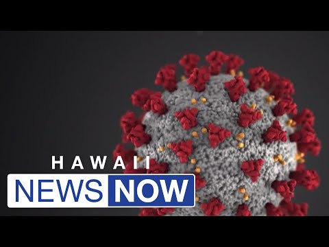 HNN News Brief