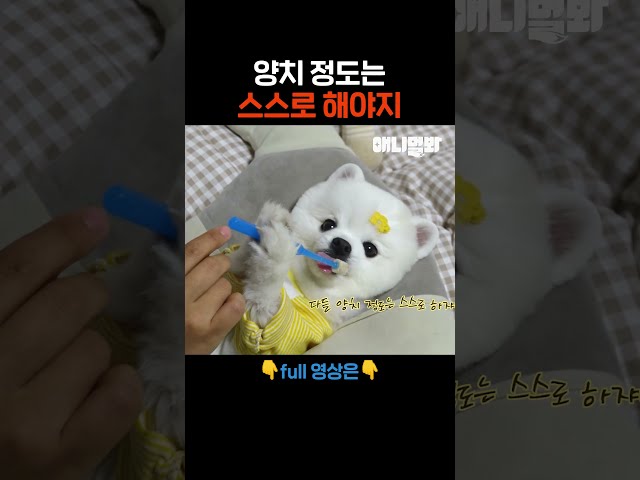 다들 이 정도는 하는 거 아니었나?ㅎㅎ #애니멀봐 #shorts