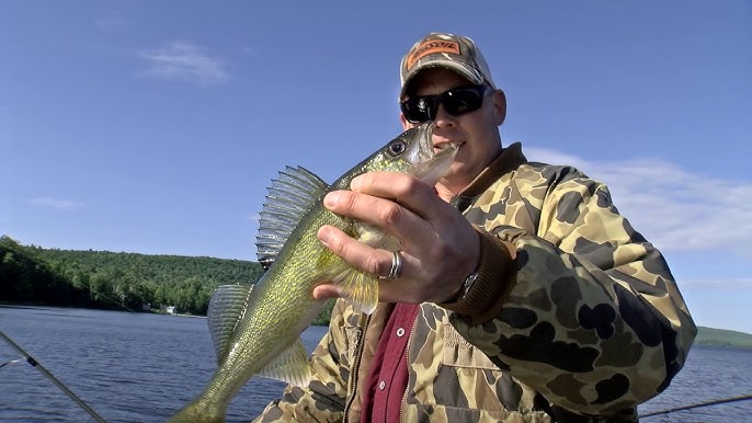 Kalin's Jerk Minnow and Darter Head jig, Kalin's Jerk Minnow and Darter  Head jigs are the perfect combination for walleye in the UP with John  Gillespie Ron Johnson and Brett Jolly