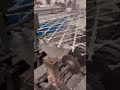 razor barbed wire panels