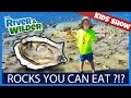 Kids learn how to eat beach rocks   kids tv