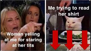 Woman yelling at cat   Meme Compilation1 screenshot 4