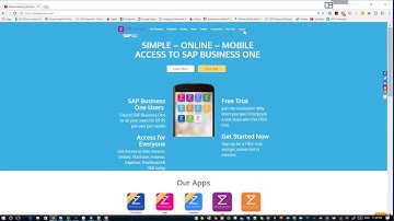 Installing Enterpryze with SAP Business One