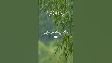 #سورة_الشعراء #اسلام_صبحي #my_edit