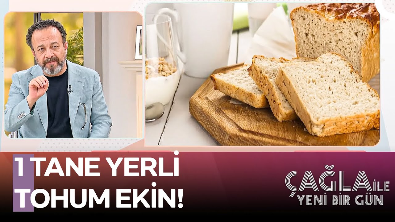 Yerli Tohumun Sağlık Dolu Görevleri - Çağla İle Yeni Bir Gün 1244. Bölüm