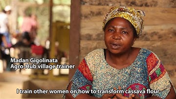 CSV 2016 Prize Winner Agro-Hub | Nestlé CSV Prize (2016)