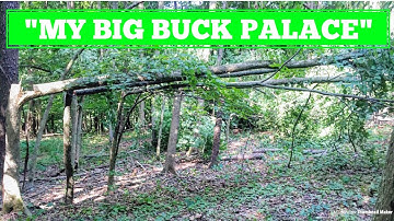Whitetail Deer Bedding SANCTUARY! (FOR BIG BUCKS!)