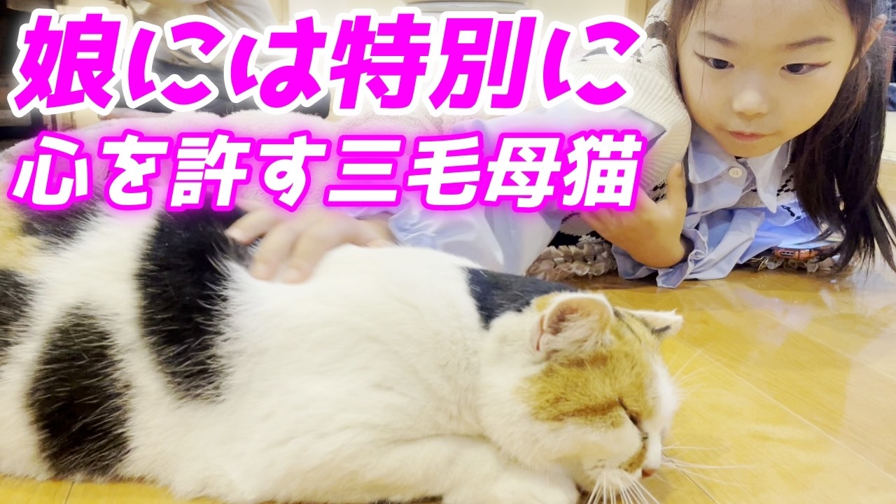 ミケ姉 両手招き猫 猫の置物