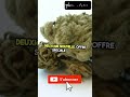 Les ZakTus du 30 / 07 / 2024