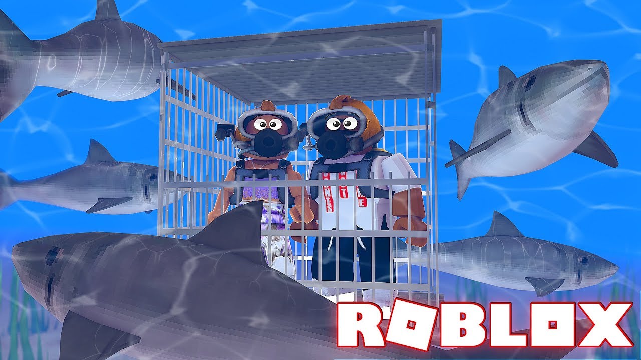 Roblox Shark Attack Roblox Shark Bite Youtube - shark attack in roblox youtube