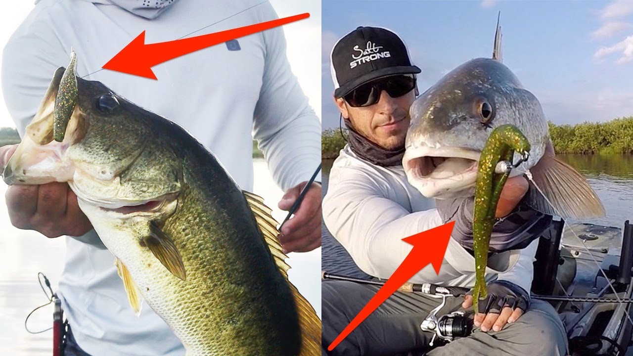 Top 3 Fishing Lures That Catch Bass AND Redfish