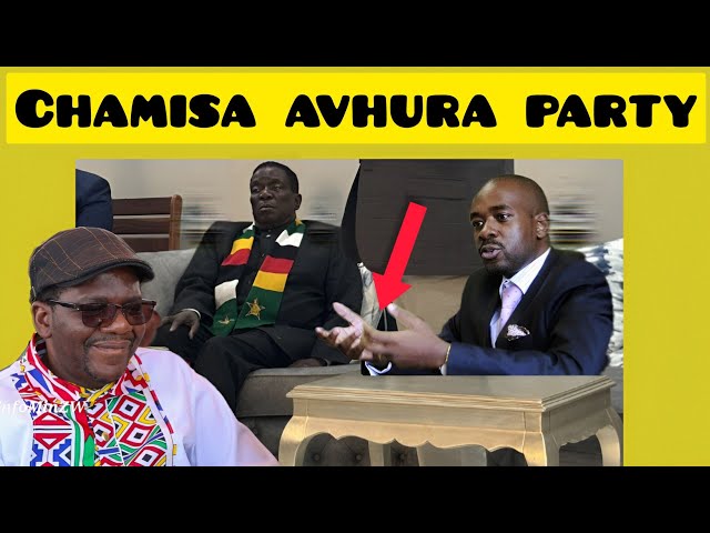 Chamisa's Crucial Next Move in Blue Party Zvajeka class=