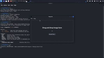 Store Hidden Information In Kali Linux Using Stegosuite| Steganography| Cybersecurity