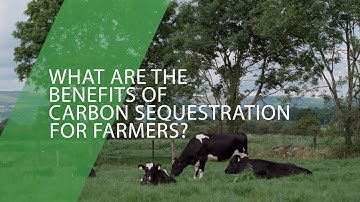 What Are The Benefits Of Carbon Sequestration For Farmers?