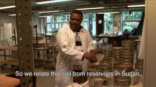 Why the Blue Nile Carries Brown Waters