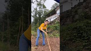 Make A Roof For Vegetable Plants