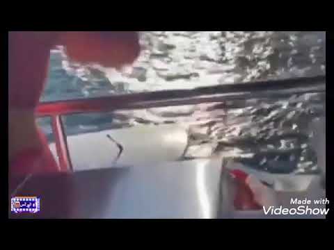 ماجد المصري يهدي زوجته يخت بسبب عيد ميلادها بطريقة رومانسية جدا