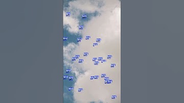 Bird Detection #shorts #ultralytics