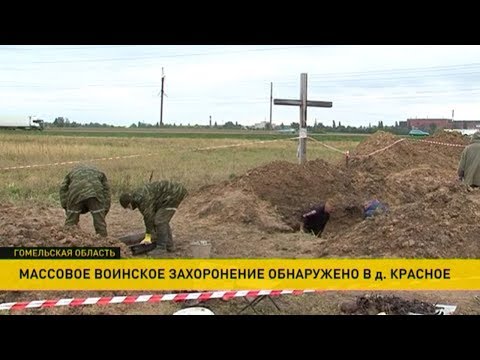 Под Гомелем начались раскопки на месте захоронения времён войны