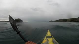 Small tide bitches