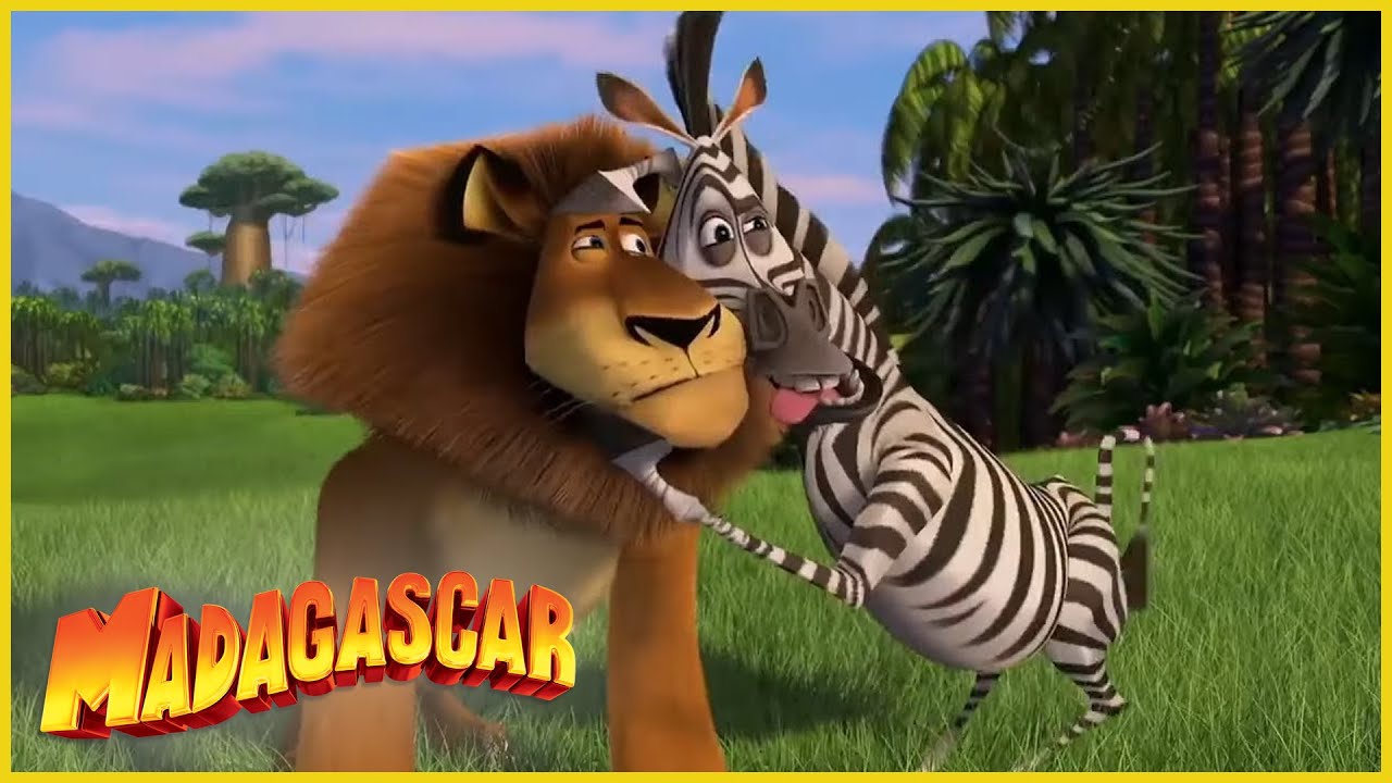 DreamWorks Madagascar en Español Latino | Volverse loco | Dibujos animados para niños