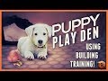 How to Use the Puppy Play Den for Solid Puppy Training!