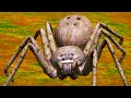 Симулятор ПАУКА #1 Кид стал паучком в Ultimate Spider Simulator 2 на пурумчата
