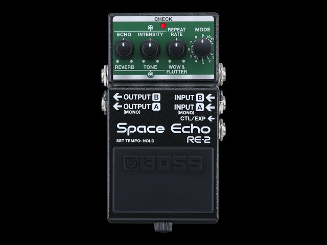 BOSS RE2　Space Echo