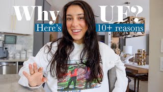 10+ Reasons Why You Should Come to the University of Florida