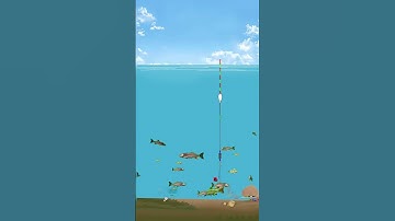 Hướng dẫn cân phao đài đơn giản cho người mới #câucá #xuhuong #fishing