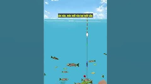 Hướng dẫn cân phao đài đơn giản cho người mới #câucá #xuhuong #fishing