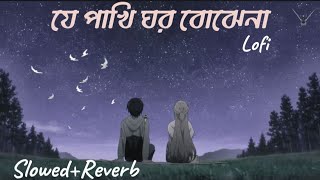 Je Pakhi Ghor Bojhena | যে পাখি ঘর বঝেনা | (slowed+Riverb+Lofi | Old songs new Version|