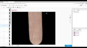 Label Studio Tutorial