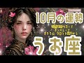 🌹🕊2024年10月の運勢【魚座】お仕事・人間関係＆恋愛・金運🗝️🌹#魚座