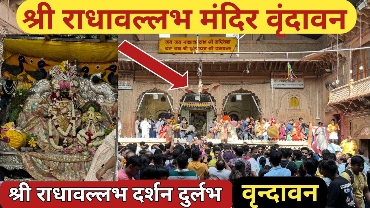 श्री राधावल्लभ लाल जी महाराज दर्शन ll Shri Radhavallabh Lal ji Mandir Vrindavan