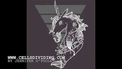 Unicorn Drawing Time Lapse Video, Procreate App With Apple Pencil